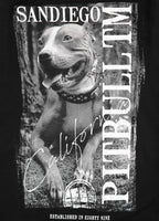 Women's T-Shirt Poster