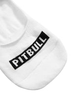 PITBULL No Show Thin 3pack White Socks