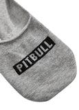 PITBULL No Show Thin 3pack Grey Socks