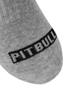 PITBULL Pad Thin 3pack Grey Socks