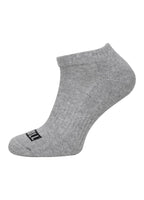 PITBULL Pad 3pack Grey Socks