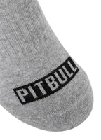 PITBULL Pad 3pack Grey Socks