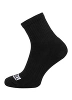 PITBULL High Ankle 3pack Black Socks