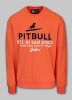 Men's Sweatshirt SURFING DOG