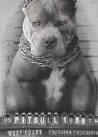 Men's Sweatshirt Mugshot