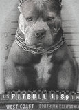 Men's Sweatshirt Mugshot