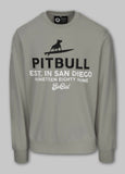 Men's Sweatshirt SURFING DOG