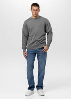 Men's Sweatshirt Washed Lancaster II - Gray