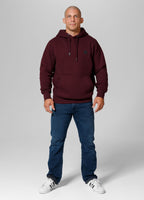 Hoodie SMALL LOGO