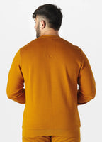 Men's Sweatshirt Terry Hilltop