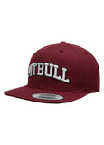 Snapback PITBULL
