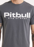 Men's T-Shirt CITY OF DOGS - Graphite