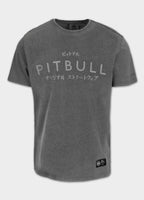 Men's T-Shirt Denim Washed MT. FUJI - Gray