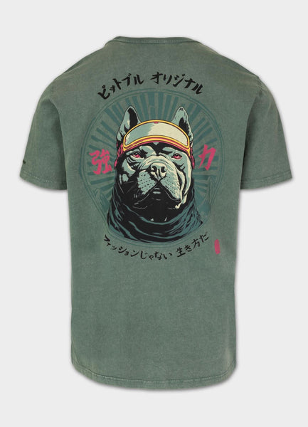 Men's T-Shirt Denim Washed MT. FUJI - Sage green