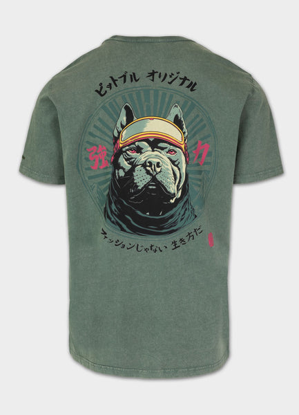 Men's T-Shirt Denim Washed MT. FUJI - Sage green