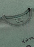 Men's T-Shirt Denim Washed MT. FUJI - Sage green