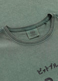 Men's T-Shirt Denim Washed MT. FUJI - Sage green