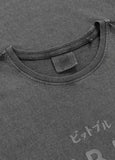 Men's T-Shirt Denim Washed MT. FUJI - Gray