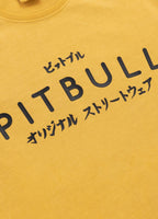 Men's T-Shirt Denim Washed MT. FUJI - Yellow