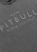 Men's T-Shirt Denim Washed MT. FUJI - Gray