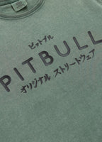 Men's T-Shirt Denim Washed MT. FUJI - Sage green