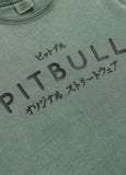 Men's T-Shirt Denim Washed MT. FUJI - Sage green