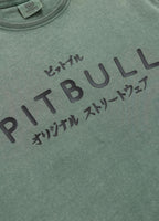 Men's T-Shirt Denim Washed MT. FUJI - Sage green