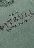 Men's T-Shirt Denim Washed MT. FUJI - Sage green