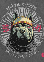 Men's T-Shirt Denim Washed MT. FUJI - Gray