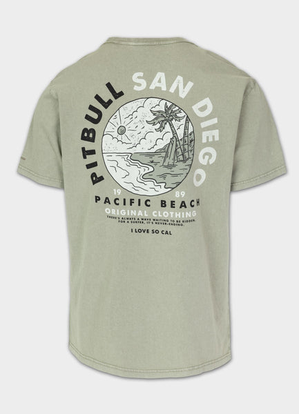 Men's T-Shirt Denim Washed PLANET SURF - Dusty Salvia