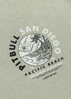 Men's T-Shirt Denim Washed PLANET SURF - Dusty Salvia