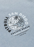 Men's T-Shirt Denim Washed PLANET SURF - Light blue