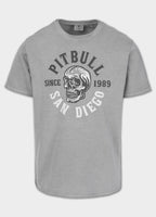 Men's T-Shirt Denim Washed Raw SKULL LOGO - Gray
