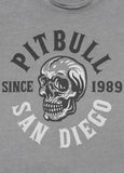 Men's T-Shirt Denim Washed Raw SKULL LOGO - Gray