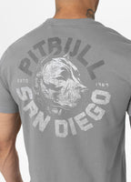 Men's T-Shirt DOG SD - Gray