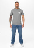 Men's T-Shirt DOG SD - Gray