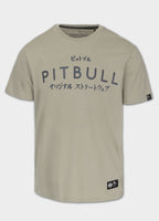 Men's T-Shirt MT. FUJI - Gray Harbour
