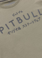 Men's T-Shirt MT. FUJI - Gray Harbour
