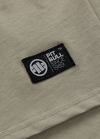 Men's T-Shirt MT. FUJI - Gray Harbour