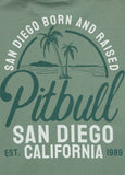 Men's T-Shirt SAN DIEGO BORN - Mint