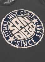 Men's T-Shirt SAN DIEGO SUN - Graphite