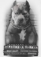 T-Shirt Mugshot II