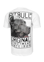 T-Shirt Origin