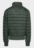 Quilted transitional jacket GRANGER II