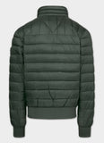 Quilted transitional jacket GRANGER II