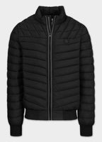 Quilted transitional jacket NAYLOR