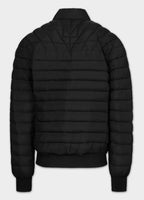 Quilted transitional jacket NAYLOR