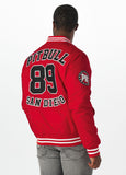 Men's transitional jacket Silverwing