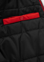 Men's winter jacket Beejay