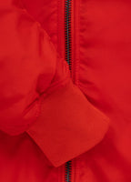 Men's winter jacket Beejay